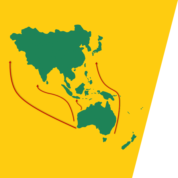 shipping logistics company